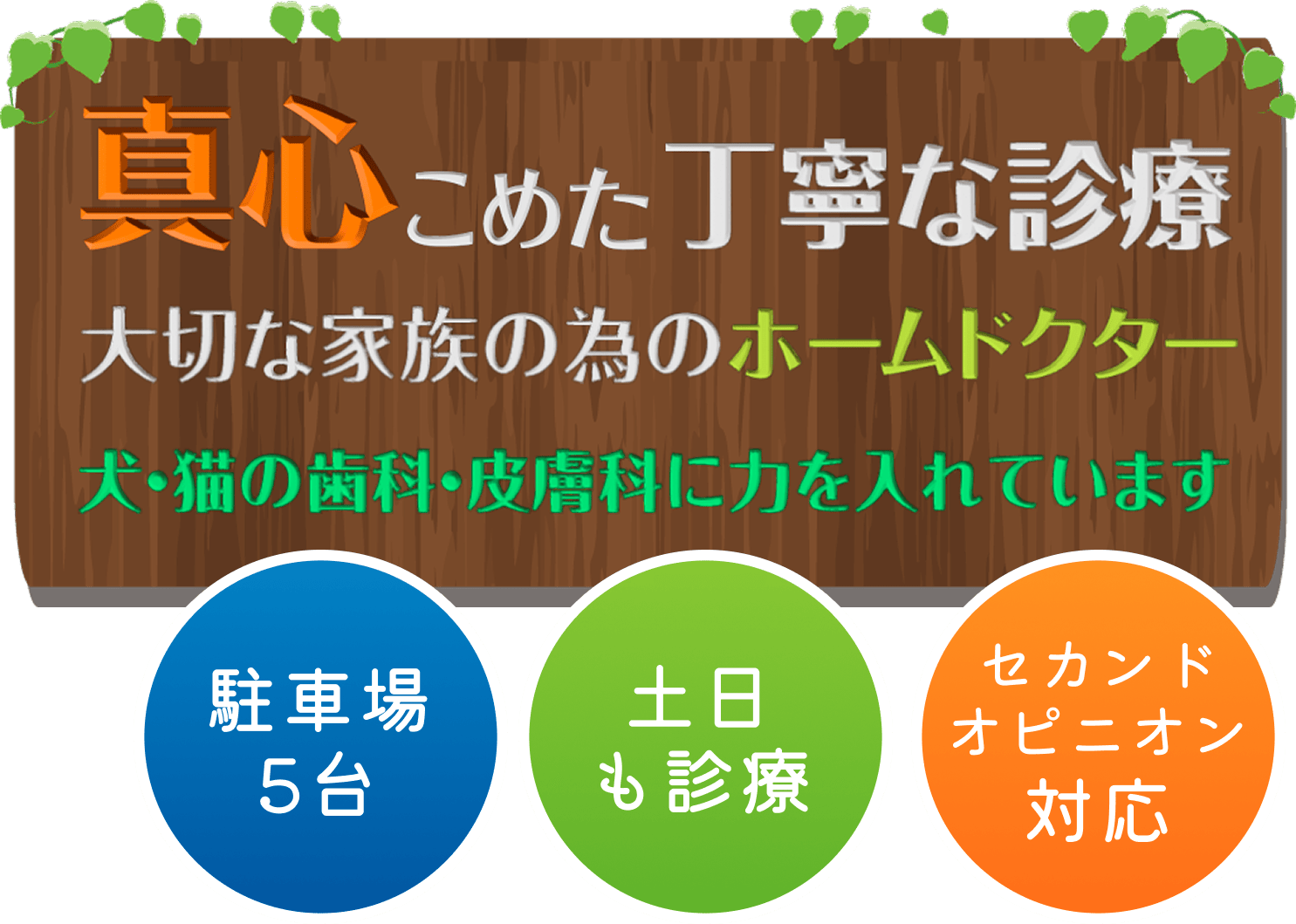 真心こめた丁寧な診療 大切な家族の為のホームドクター